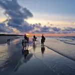 度假居 Cozy With Sea View *